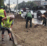 Во Владимире на улице Горького обустроили новый газон - Time33.Ru