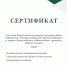Всероссийский конкурс на лучшую работу библиотеки в период специальной военной операции в рамках Всероссийского библиотечного движения «Вместе сильнее» - ЦБС Камешковского района