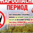 Владимирская область усиливает меры по предотвращению лесных пожаров - Сетевое издание Знамя 33